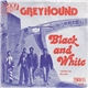 Greyhound - Black And White