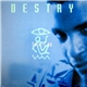 Destry - Turn It Up